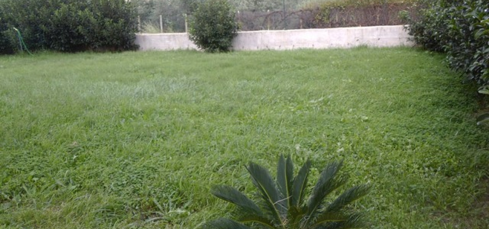 TREMILIA,Villa,TREMILIA,2996