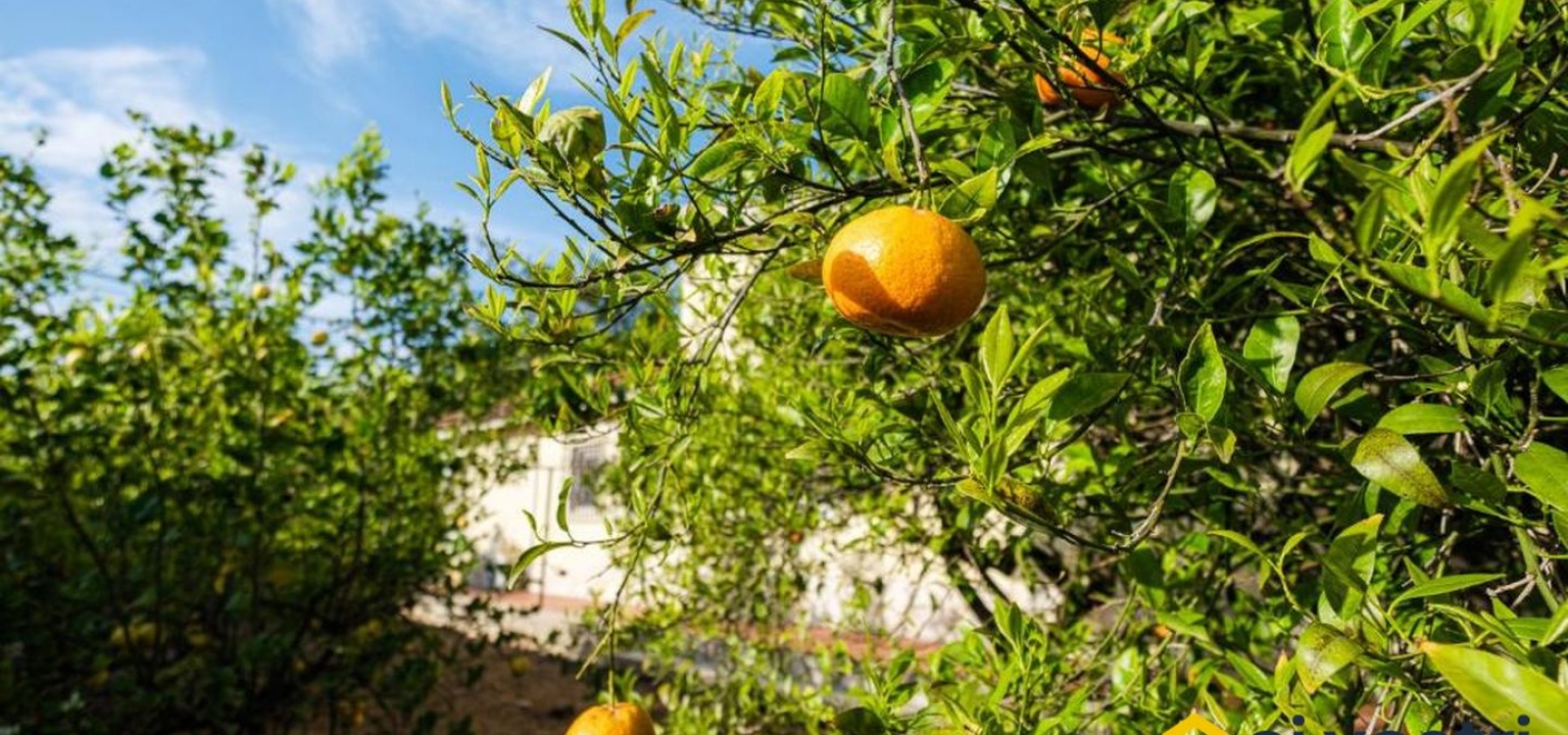 TREMILIA,Villa,TREMILIA,3005